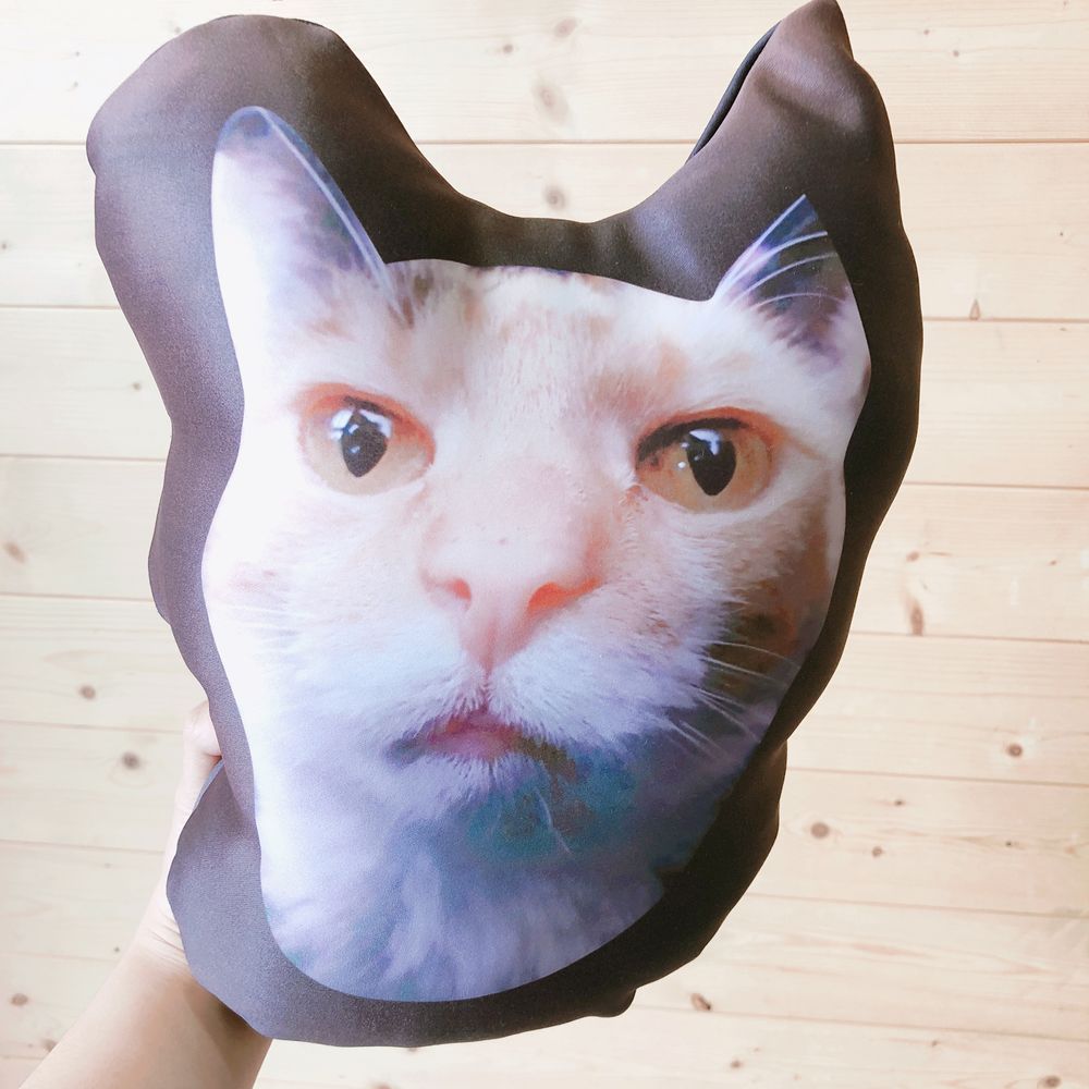 特殊外型抱枕1